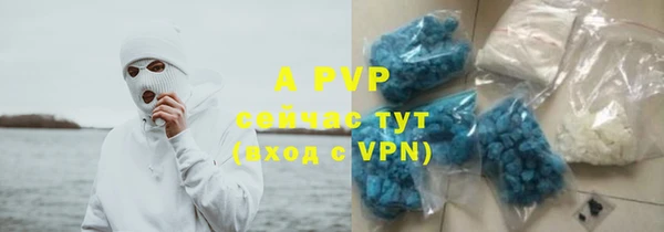 прущие крисы Верея
