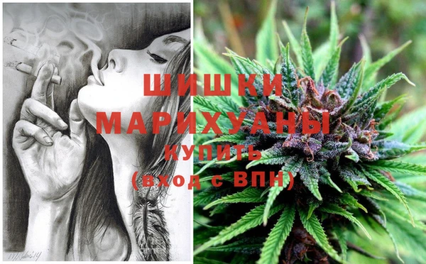 прущие крисы Верея