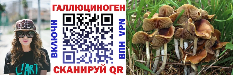 Псилоцибиновые грибы Magic Shrooms  Катав-Ивановск 