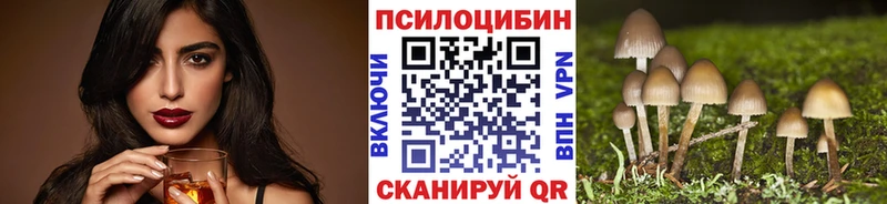 Галлюциногенные грибы Magic Shrooms Катав-Ивановск